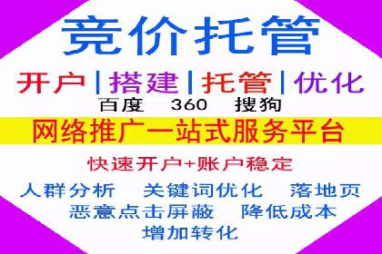谷歌竞价广告与社交媒体结合的营销案例探讨